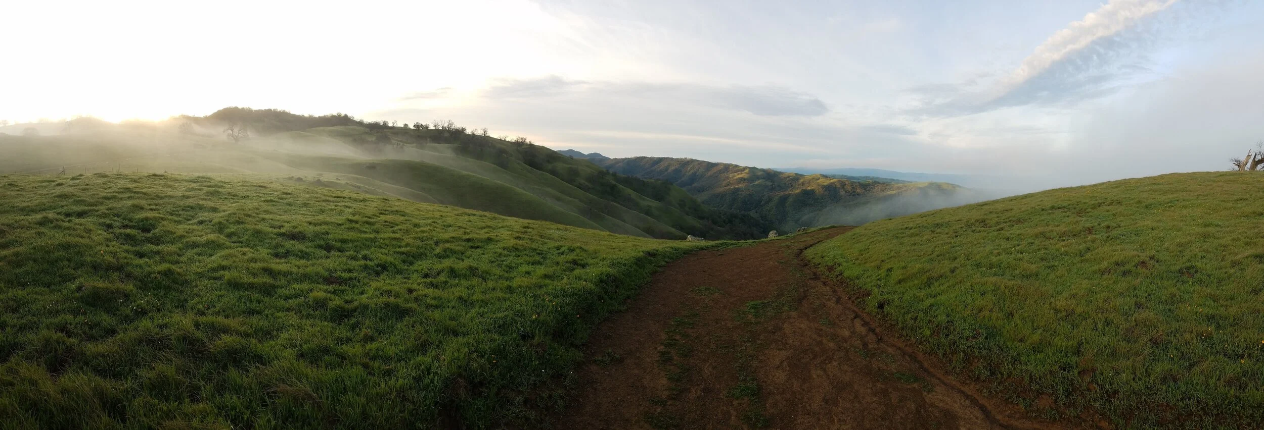 East Bay ridgeline trail with open sky